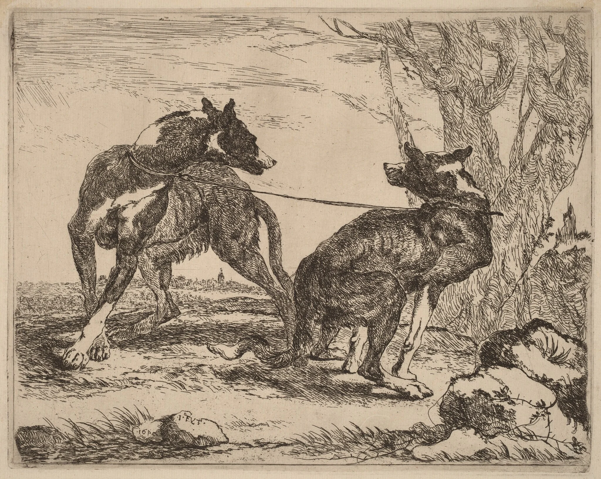 Two Greyhounds, Leashed and Facing Each Other, detail