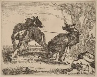 Two Greyhounds, Leashed and Facing Each Other, by Jan Fyt, ink, 1642
