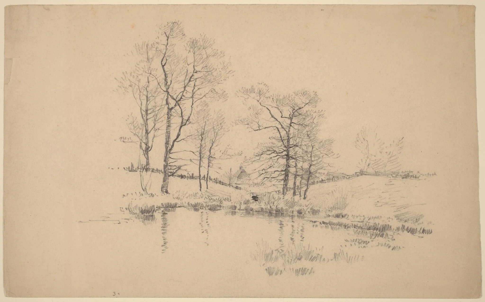 Meadow Pond, New York, detail