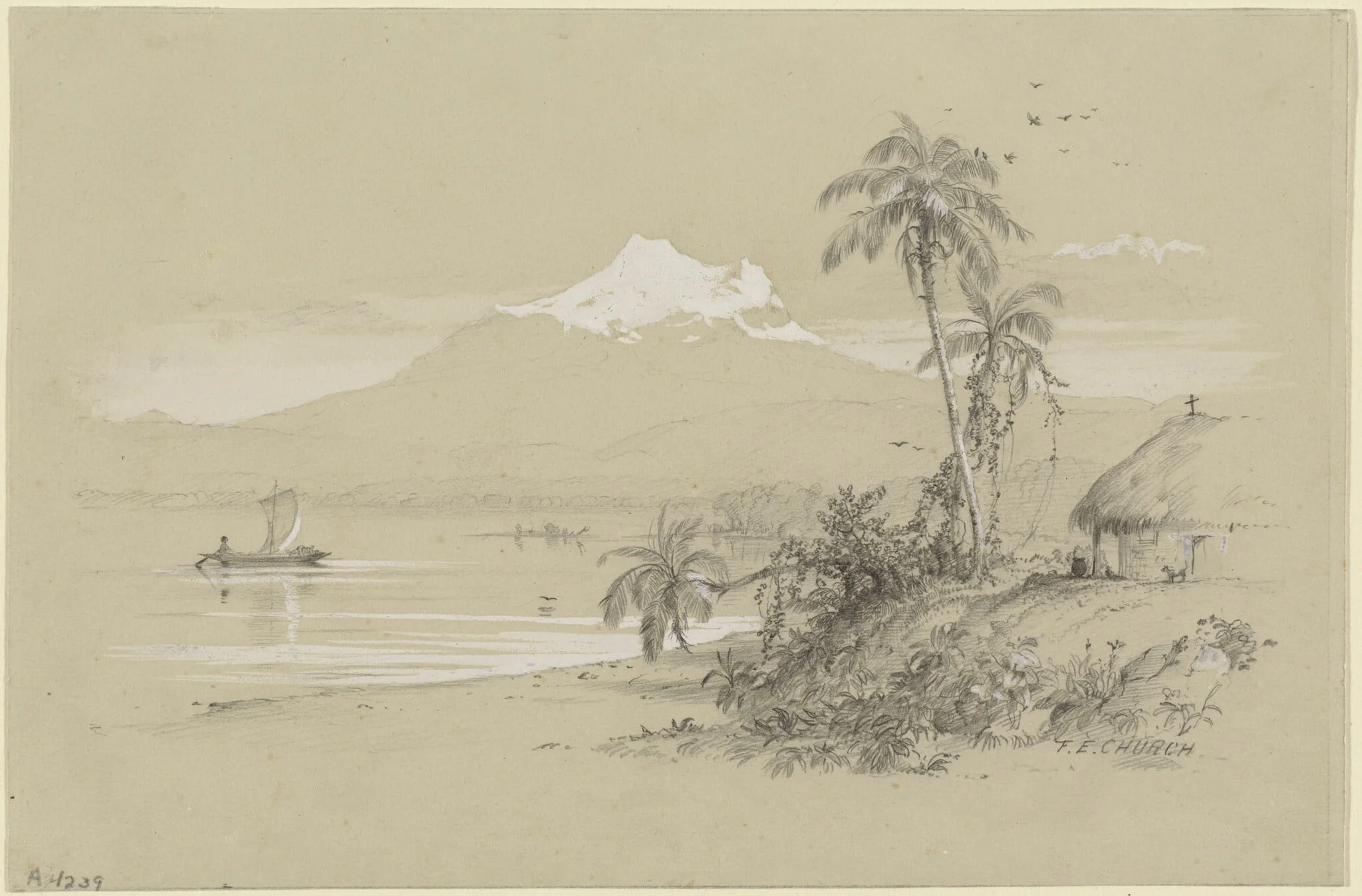 Magdalena River, New Granada, Equador, detail