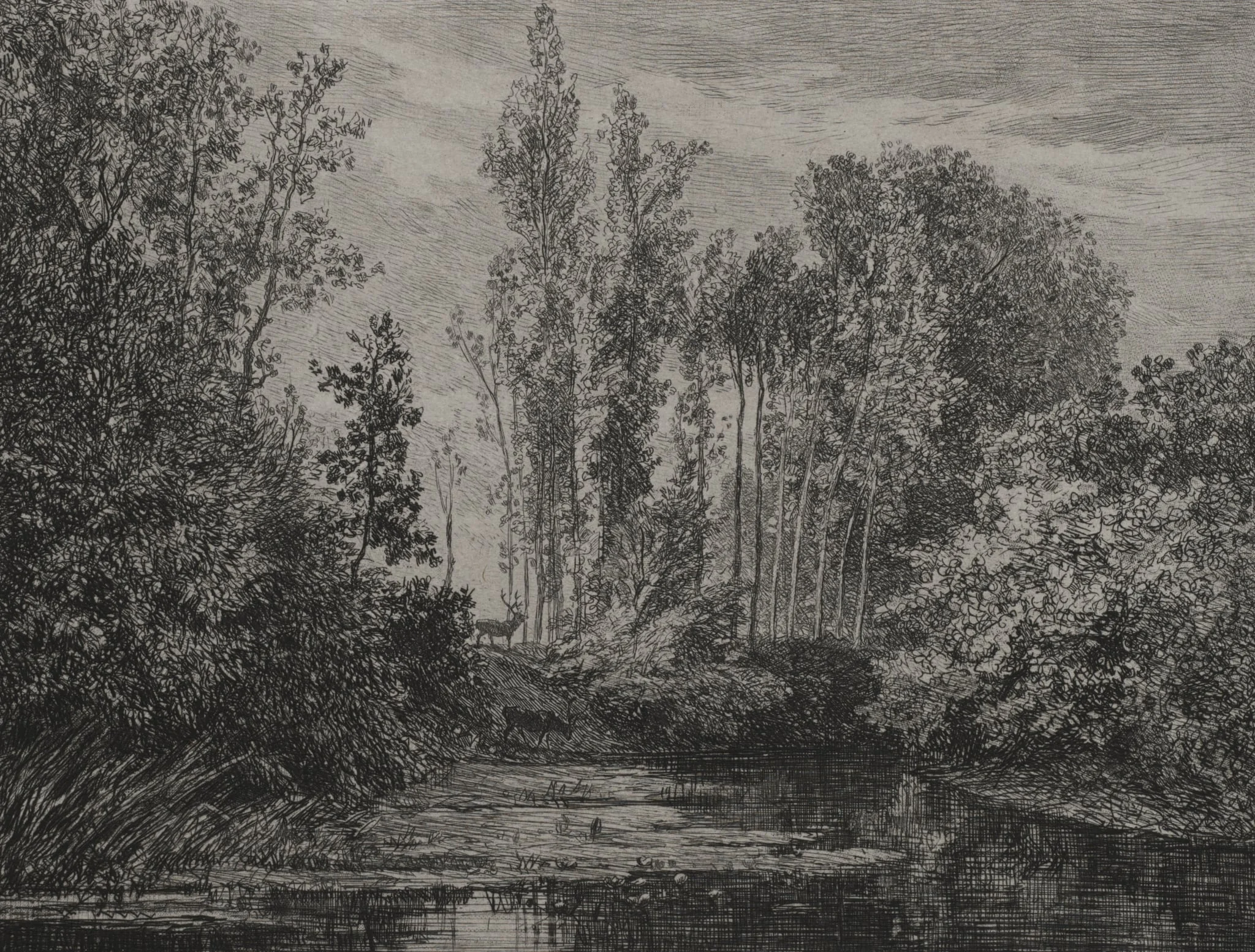 Stags at the water's edge, detail