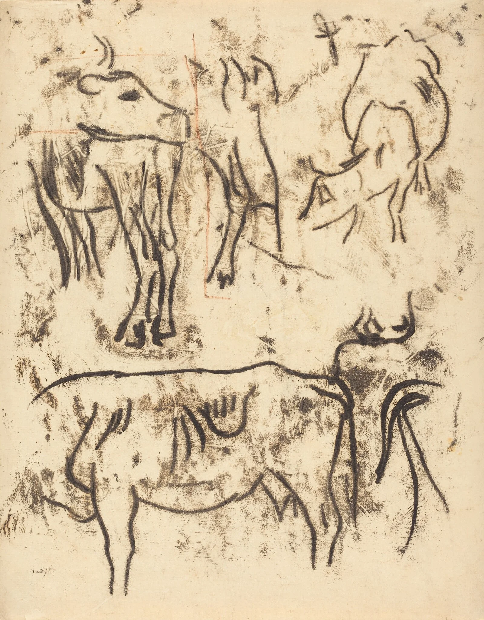 Animal Studies, detail