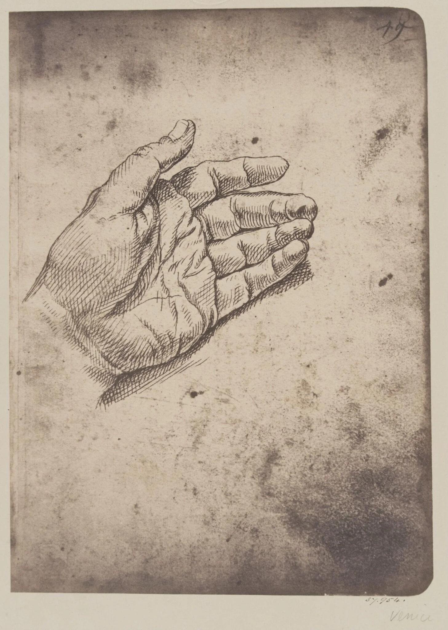 Study of a hand, detail