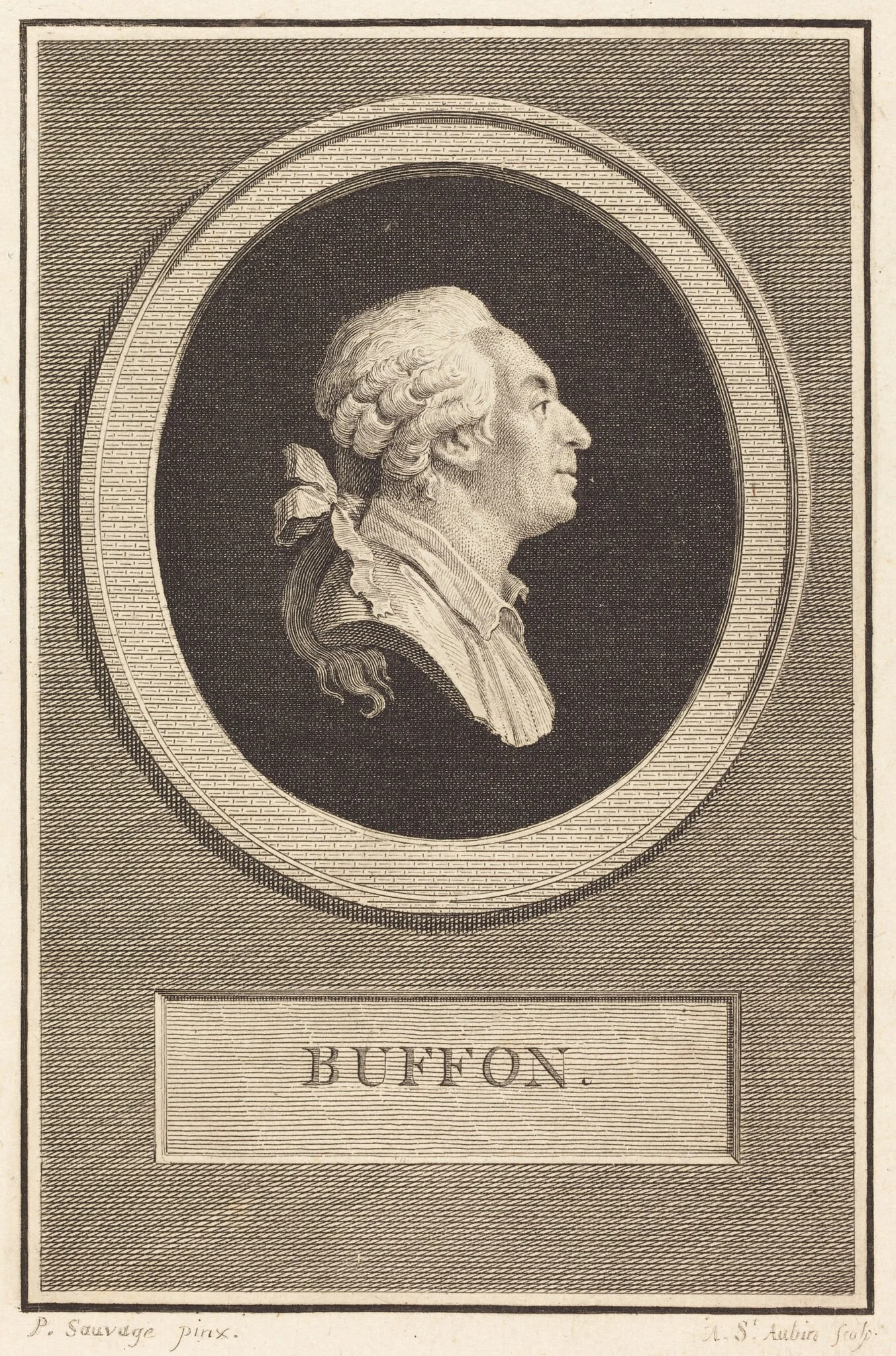 Buffon, detail