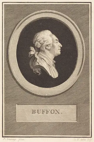 Buffon, by Augustin de Saint-Aubin, ink, 1798