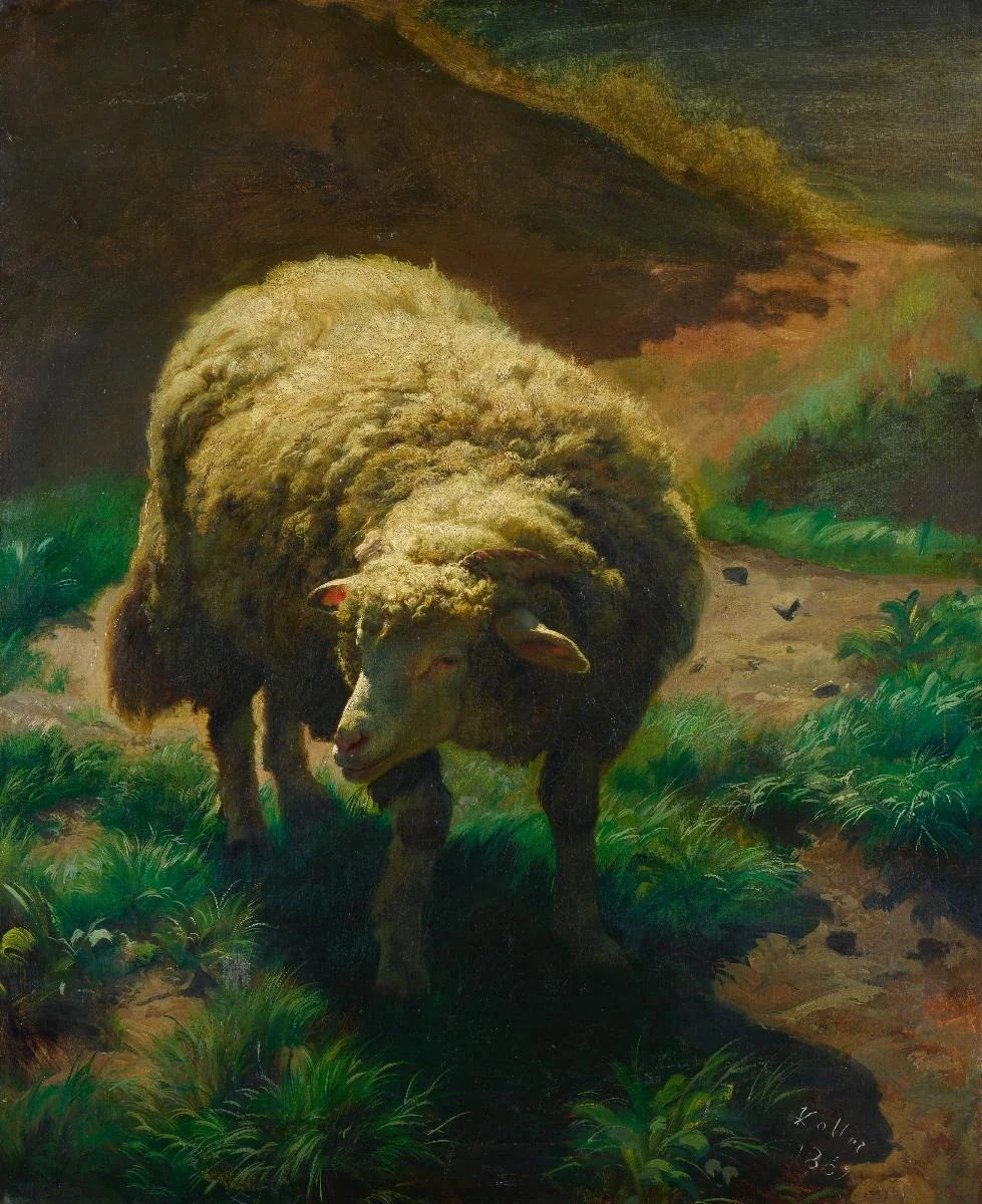 Junges Schaf, detail