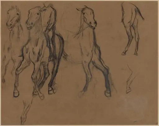 Study of Horses, by Edgar Degas