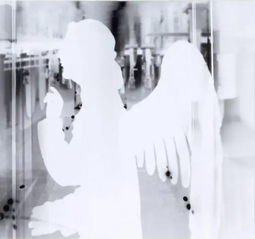 Angel of the Annunciation, by Edgar Lissel