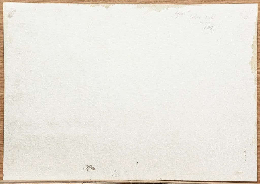 Apus, by Edith Botar, 1950