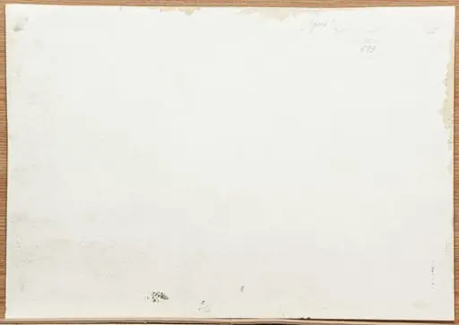 Apus, by Edith Botar