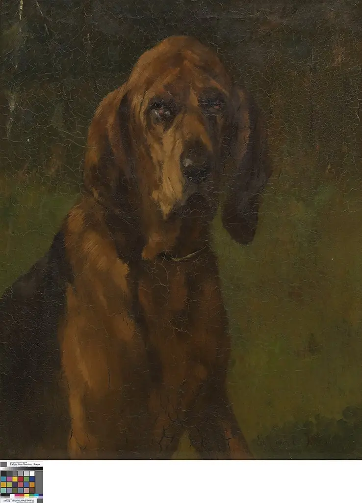 Hond van de heilige Hubertus, by Edmond Van der Meulen