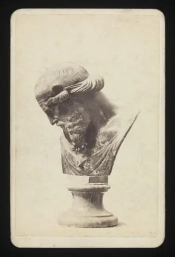 A Bust, by Edmundo Behles
