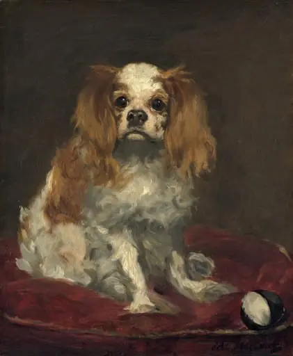 A King Charles Spaniel, by Edouard Manet