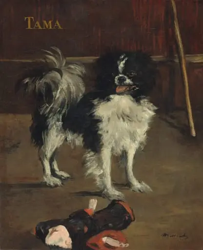 Tama, the Japanese Dog, by Edouard Manet, 1875