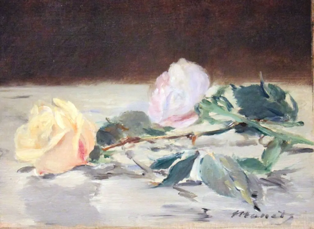 Two Roses on a Tablecloth