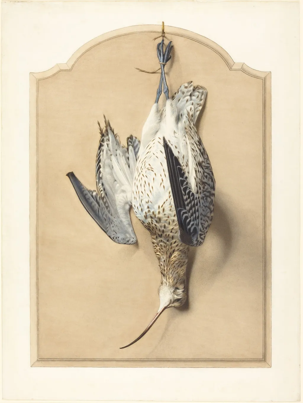 Trompe l'Oeil: A Curlew Hanging from a Nail, by Édouard Traviès, chalk, 1854