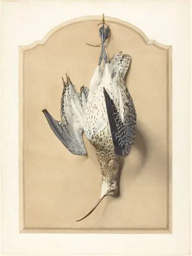 Trompe l'Oeil: A Curlew Hanging from a Nail, by Édouard Traviès