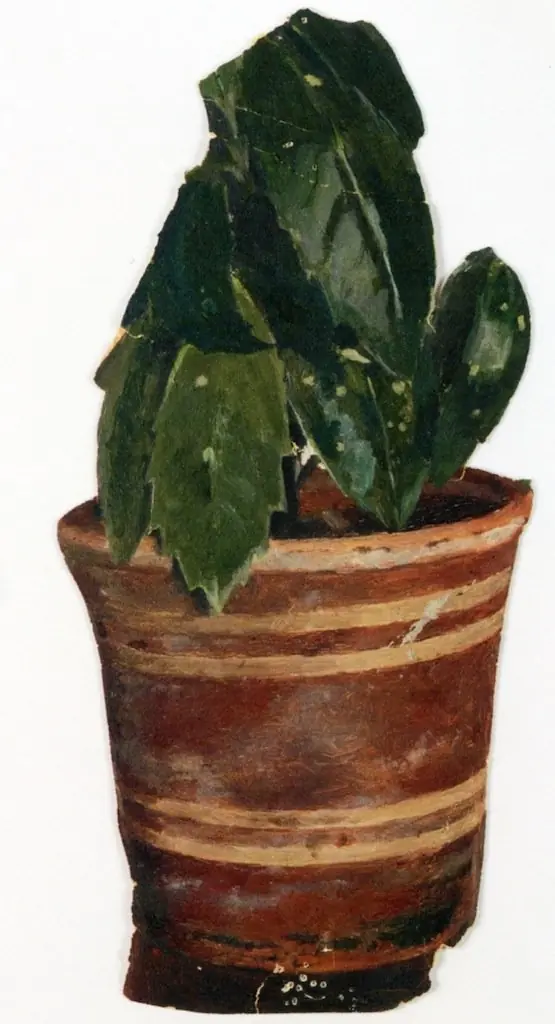 Potted Plant