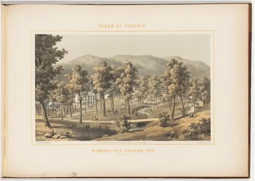 Roanoke Red Sulphur Spring, by Edward Beyer