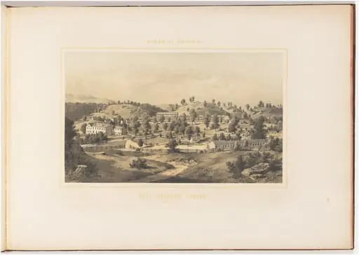 Salt Sulphur Spring, by Edward Beyer