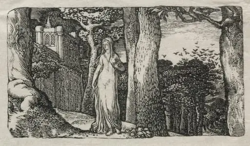 The Lady and the Rooks, by Edward Calvert
