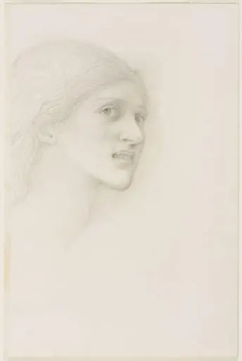 Untitled, by Edward Coley, Sir Burne-Jones