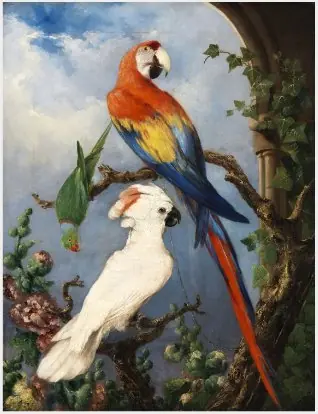 Paroquets, by Edward Henry Murphy
