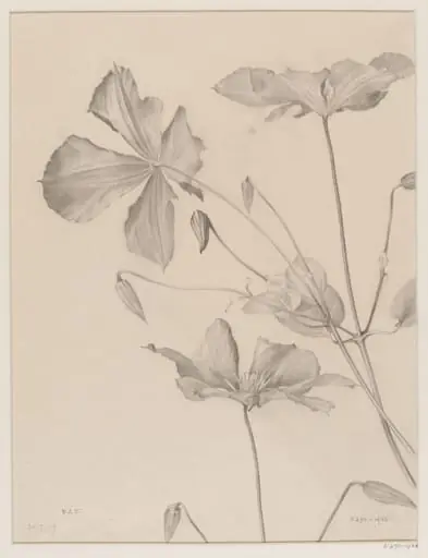 Untitled, by Edward Ingram Taylor