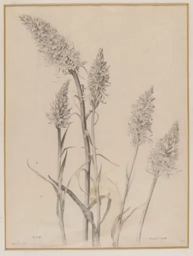 Untitled, by Edward Ingram Taylor