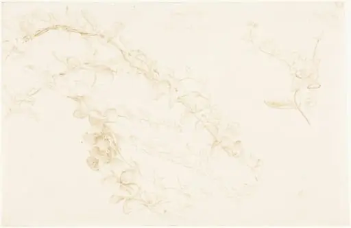 Honeysuckle, by Edward John, Sir Poynter