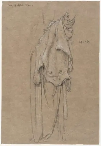 Study for a leopard skin for the figure of Fortitiude, by Edward John, Sir Poynter