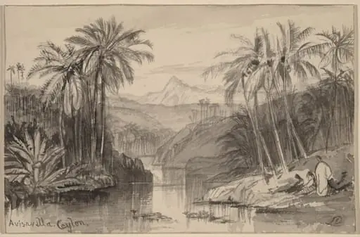 Avisavella, Ceylon, by Edward Lear