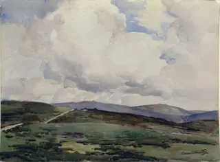 Near Postbridge, Dartmoor