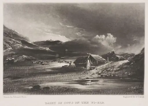 Dairy of Cows on the Fi-eld, by Edward Price
