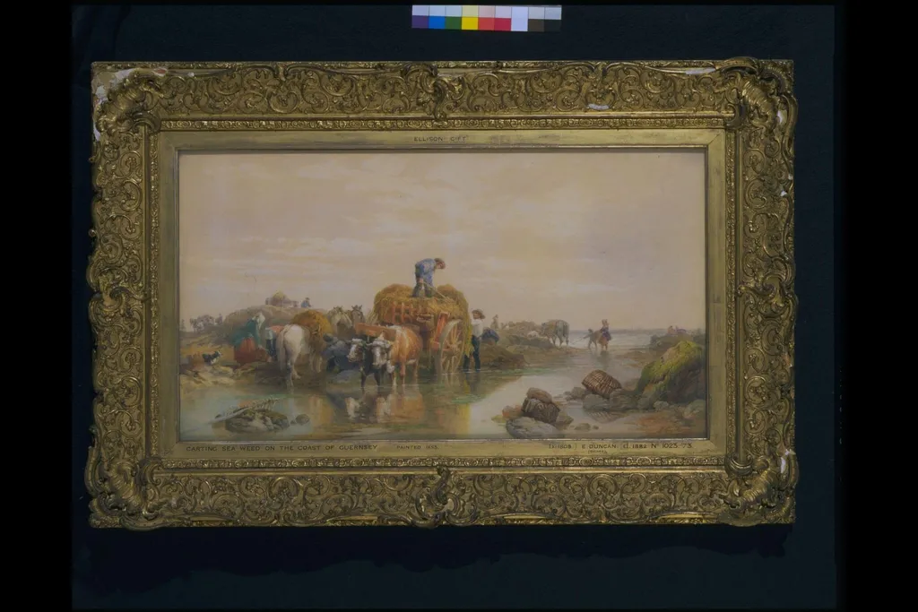 Carting seaweed on the coast of Guernsey, by Edward RWS Duncan, watercolor, 1853