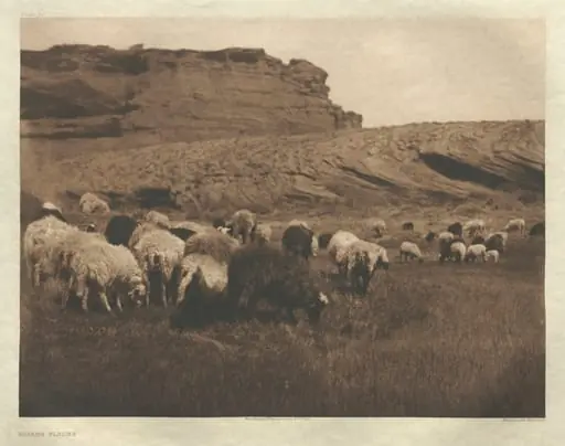 Portfolio I, Plate 33: Navaho Flocks, by Edward S. Curtis