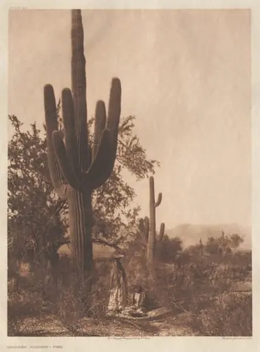 Portfolio II, Plates 40-75, by Edward S. Curtis