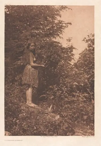 Portfolio IX, Plates 293- 328, by Edward S. Curtis