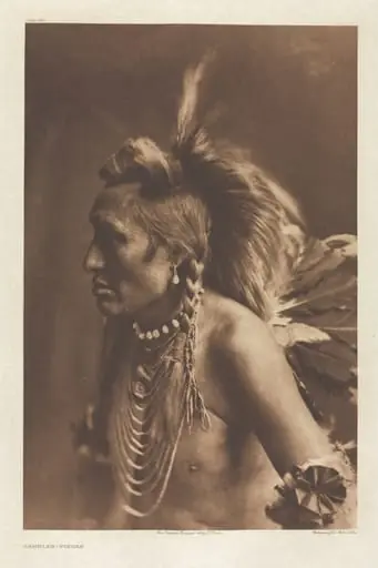 Portfolio VI, Plate 194: Gambler--Piegan, by Edward S. Curtis