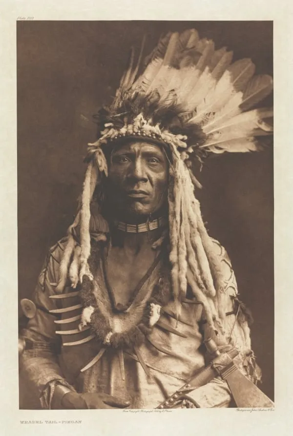 Portfolio VI, Plate 203: Weasel Tail - Piegan, by Edward S. Curtis, 1900