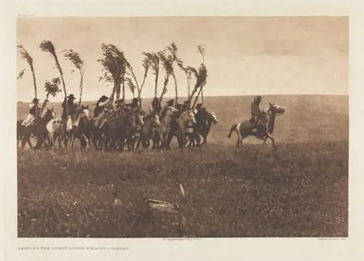 Portfolio VI, Plate 205: Bringing the Sweat-Lodge Willows - Piegan, by Edward S. Curtis