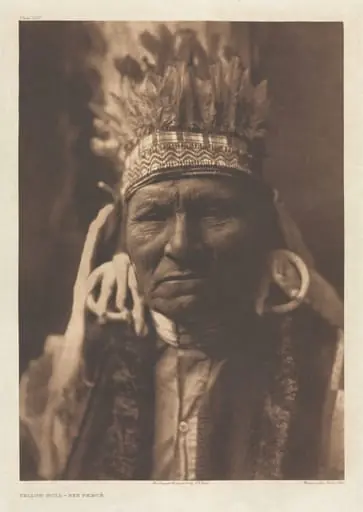 Portfolio VIII, Plate 257: Yellow Bull - Nez Percé, by Edward S. Curtis