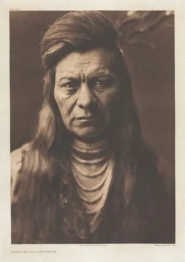 Portfolio VIII, Plate 265: Black Eagle - Nez Percé, by Edward S. Curtis