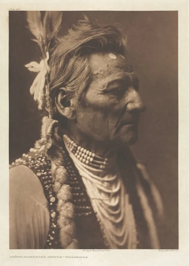 Portfolio VIII, Plate 268: Piópio-Maksmaks, Profile - Wallawalla, by Edward S. Curtis, 1905