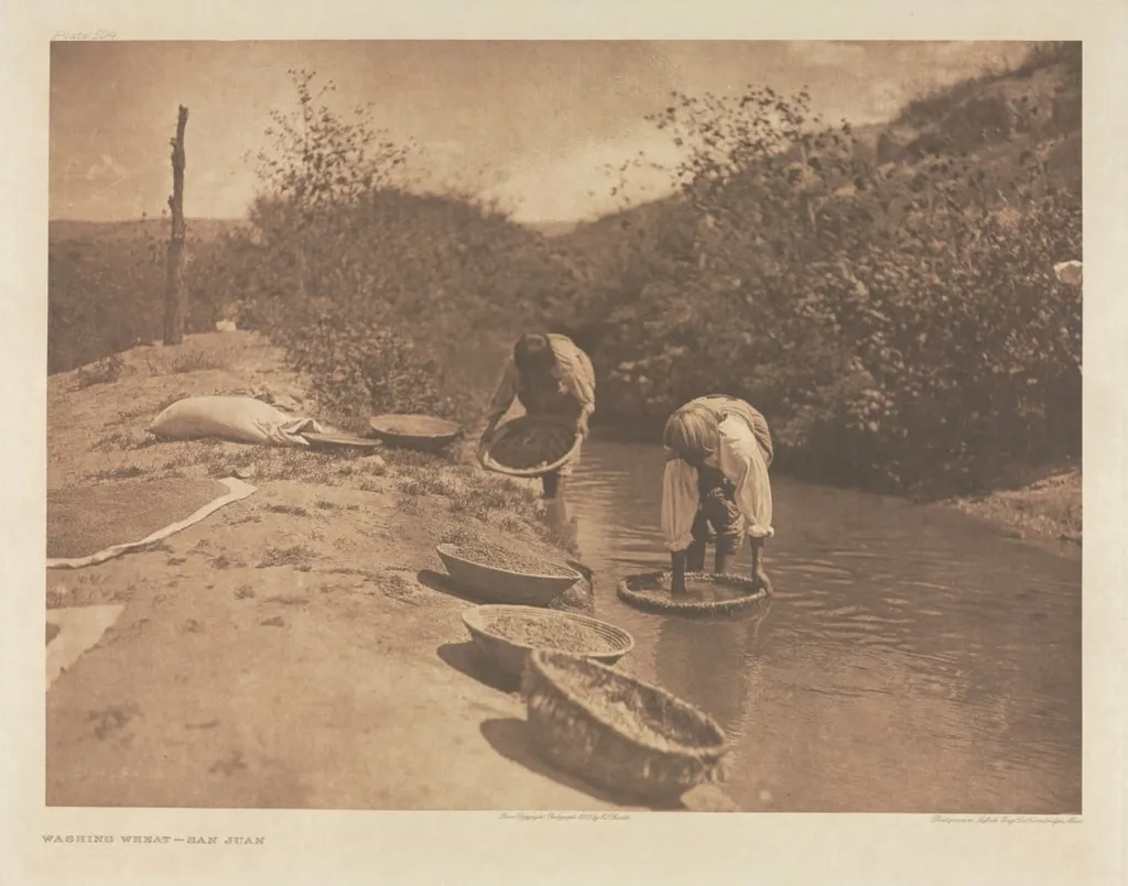 Portfolio XVII, Plate 594: Washing Wheat - San Juan, by Edward S. Curtis, 1905