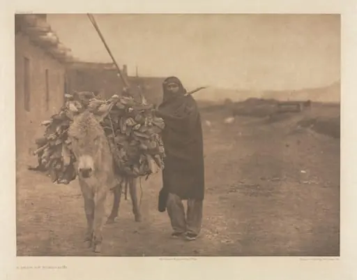 Portfolio XVII, Plate 608: A Load of Fuel - Zuñi, by Edward S. Curtis