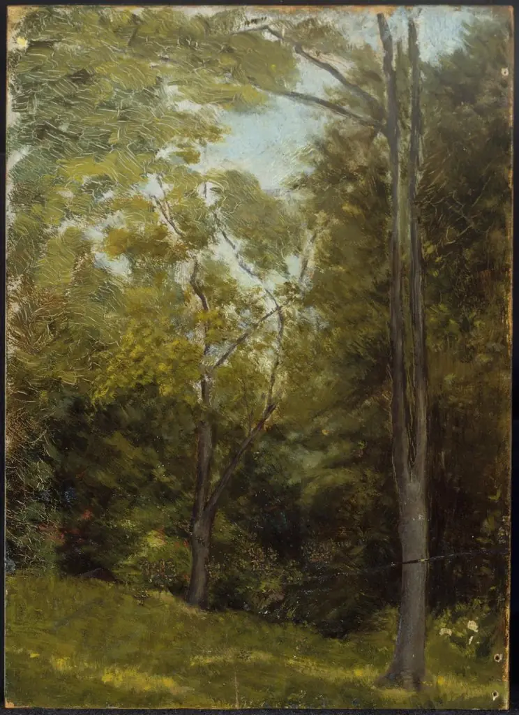 Landscape, by Edward Stieglitz