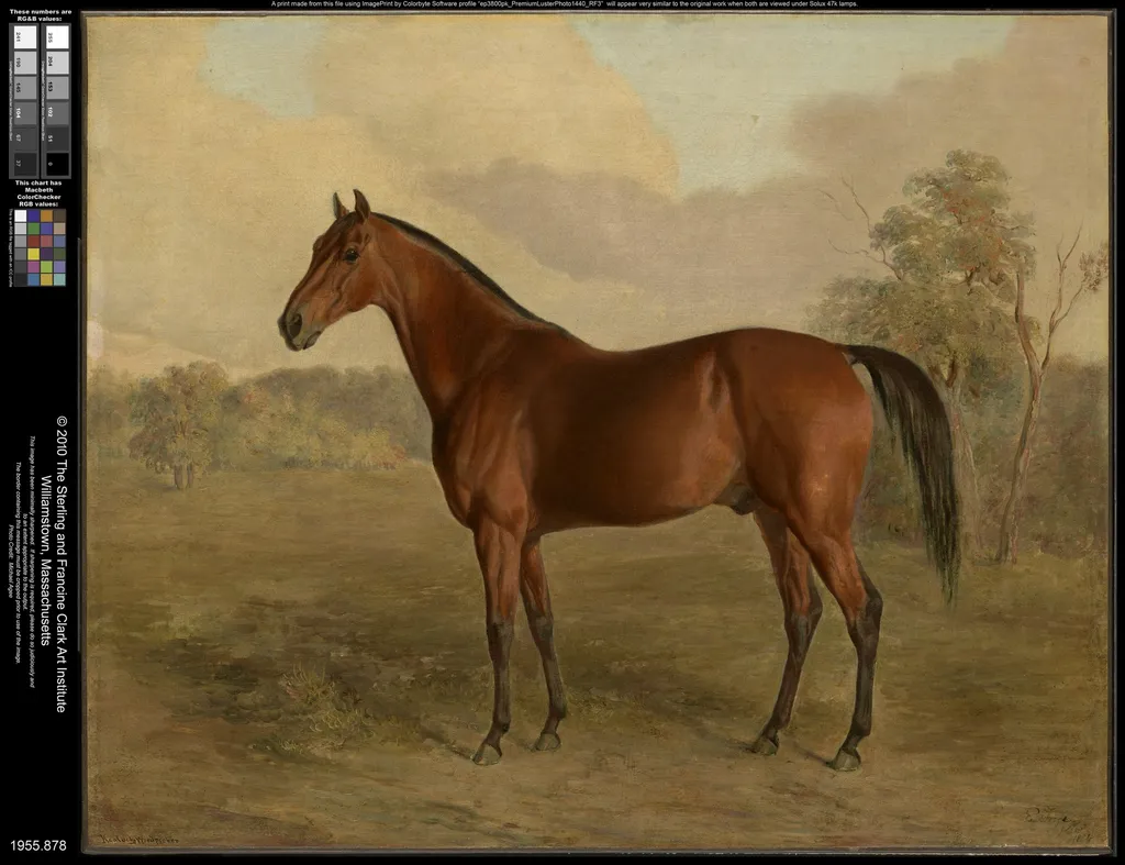 Kentucky Woodpecker, by Edward Troye, oil, 1834
