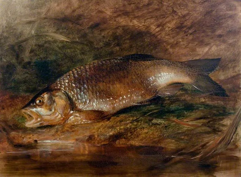 Chub, by Edward William Cooke, unspecified, 1855