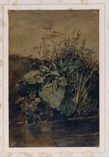 Study of Weeds, by Edward William Cooke